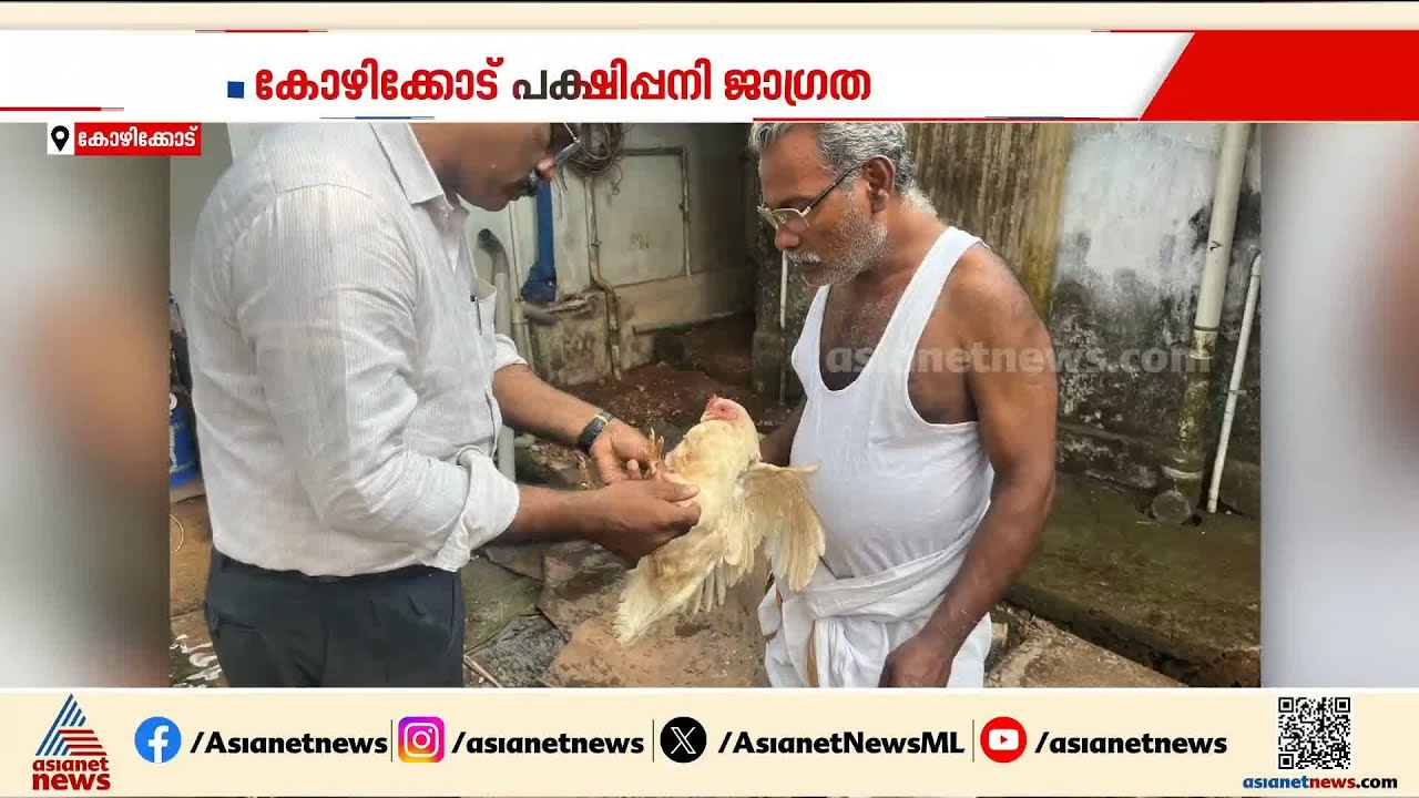 കോഴിക്കോട് പക്ഷിപ്പനി ജാഗ്രത; 5000ത്തോളം പക്ഷികളെ നാളെ കൊല്ലും