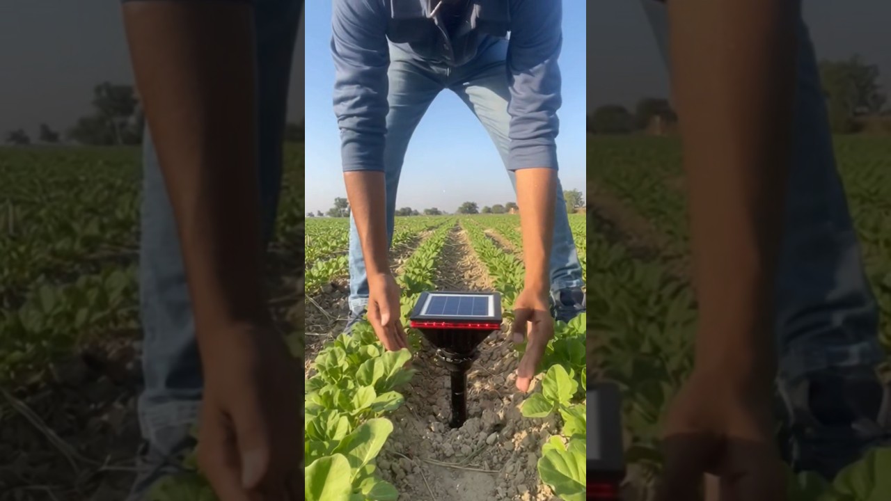 🫵💥“नीलगाय, सूअर सब डरते हैं इस लाइट✅ से”