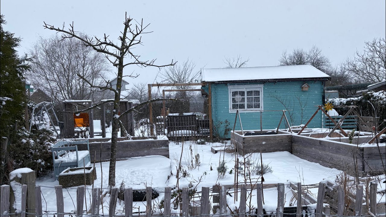 Kleingarten im Norden - Mitte Februar 2026