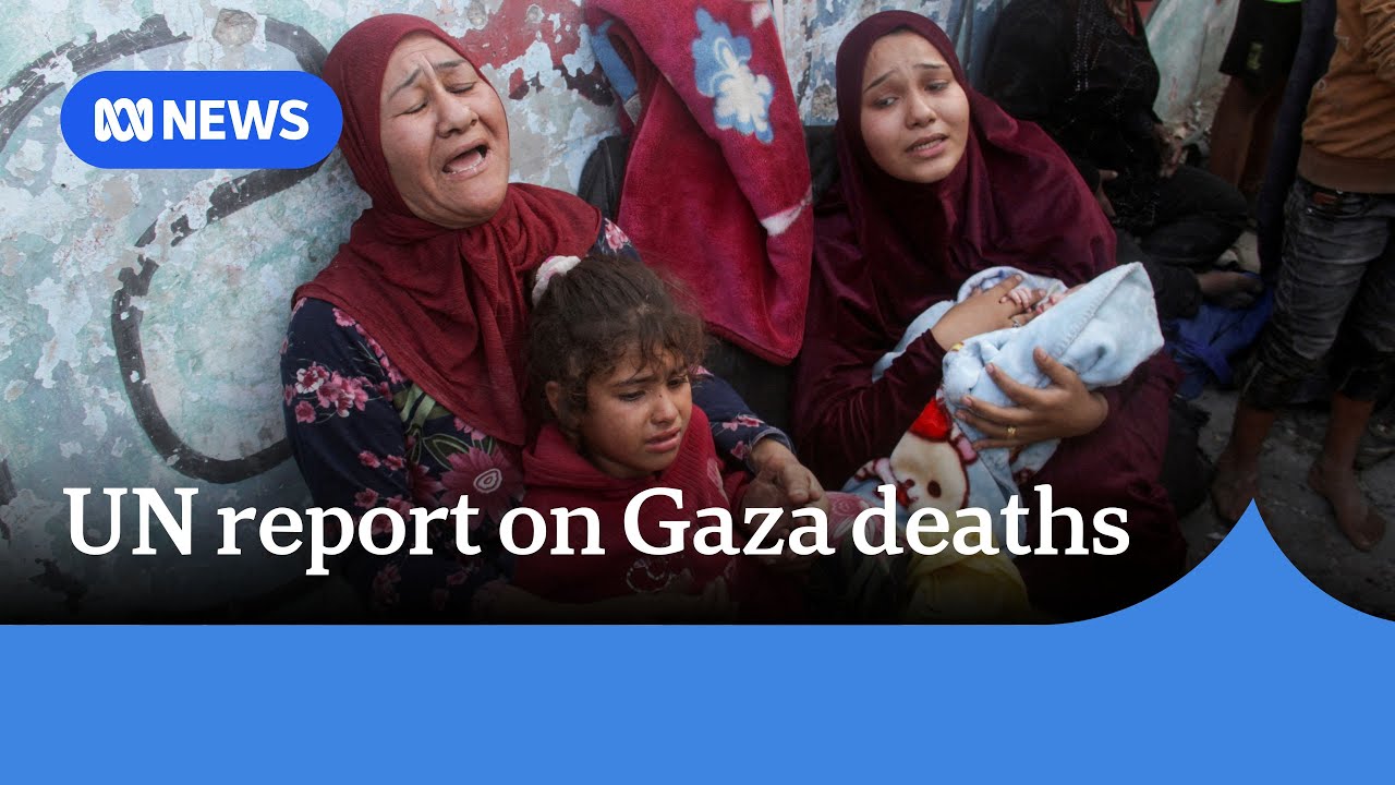 UN finds women and children make up majority of verified deaths in Gaza | ABC News