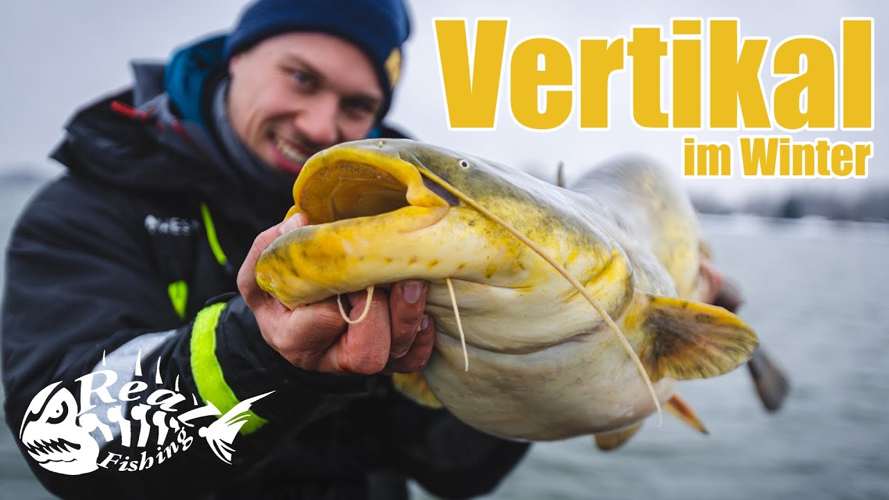 VERTIKAL auf Wels & Zander // Winterangeln an der Donau