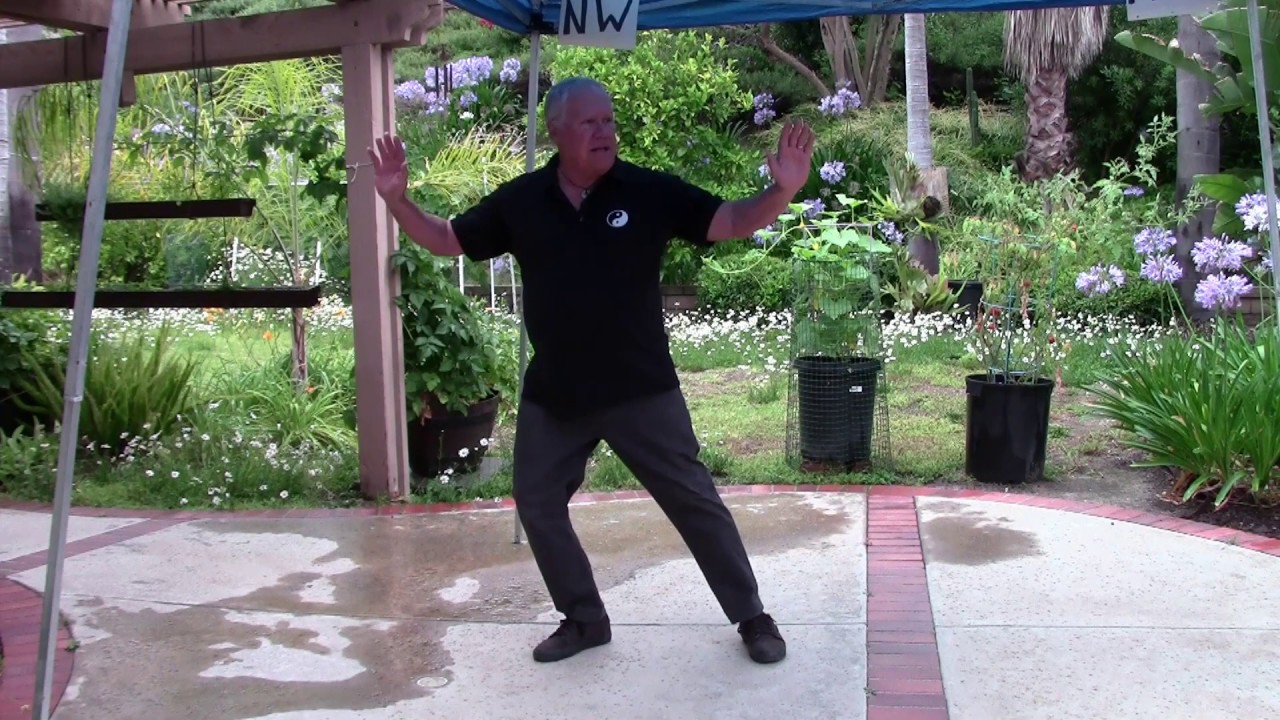 SUN STYLE TAI CHI - COMMENCEMENT & SECTIONS 1,2,3