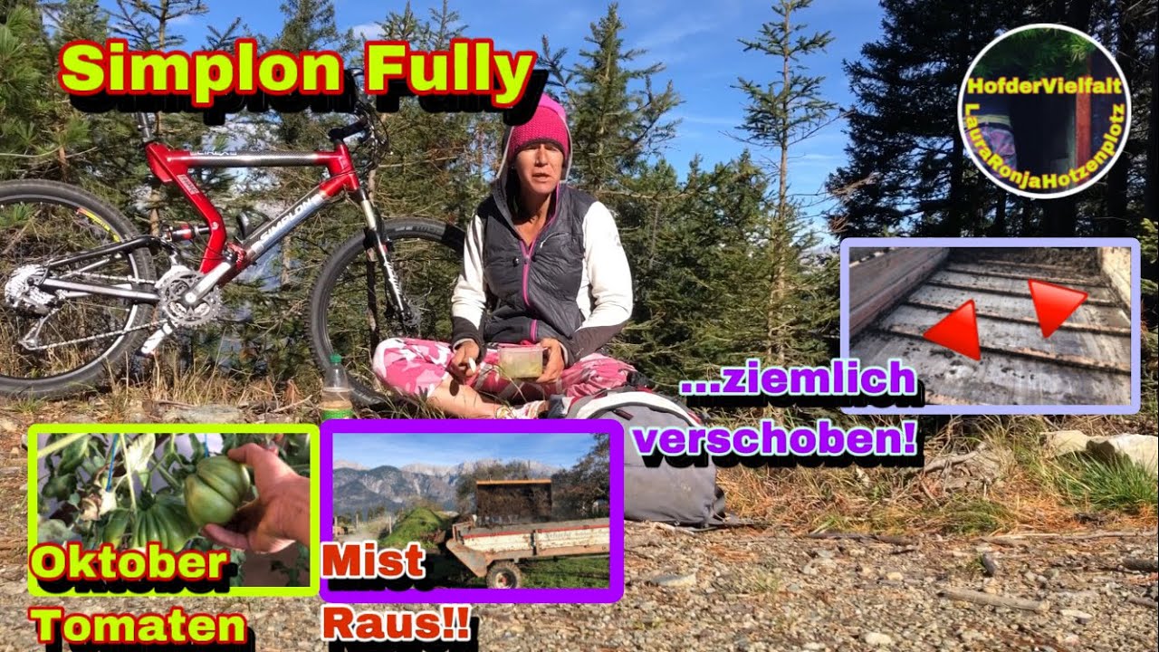 Tomaten Ende Oktober | Stein und Kratzboden passt nicht zusammen | VollKarbon Fully | Simplon MTB