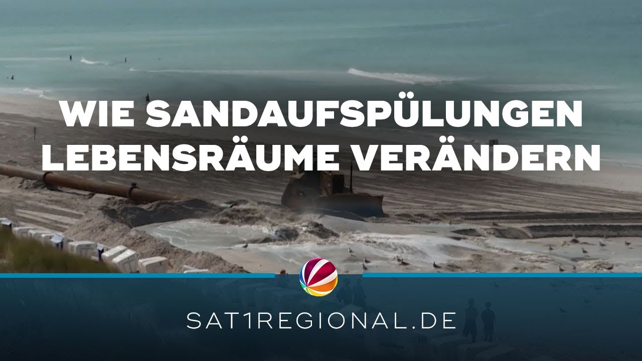 Sandaufspülungen an der Nordseeküste: Wie sie Lebensräume unter Wasser verändern