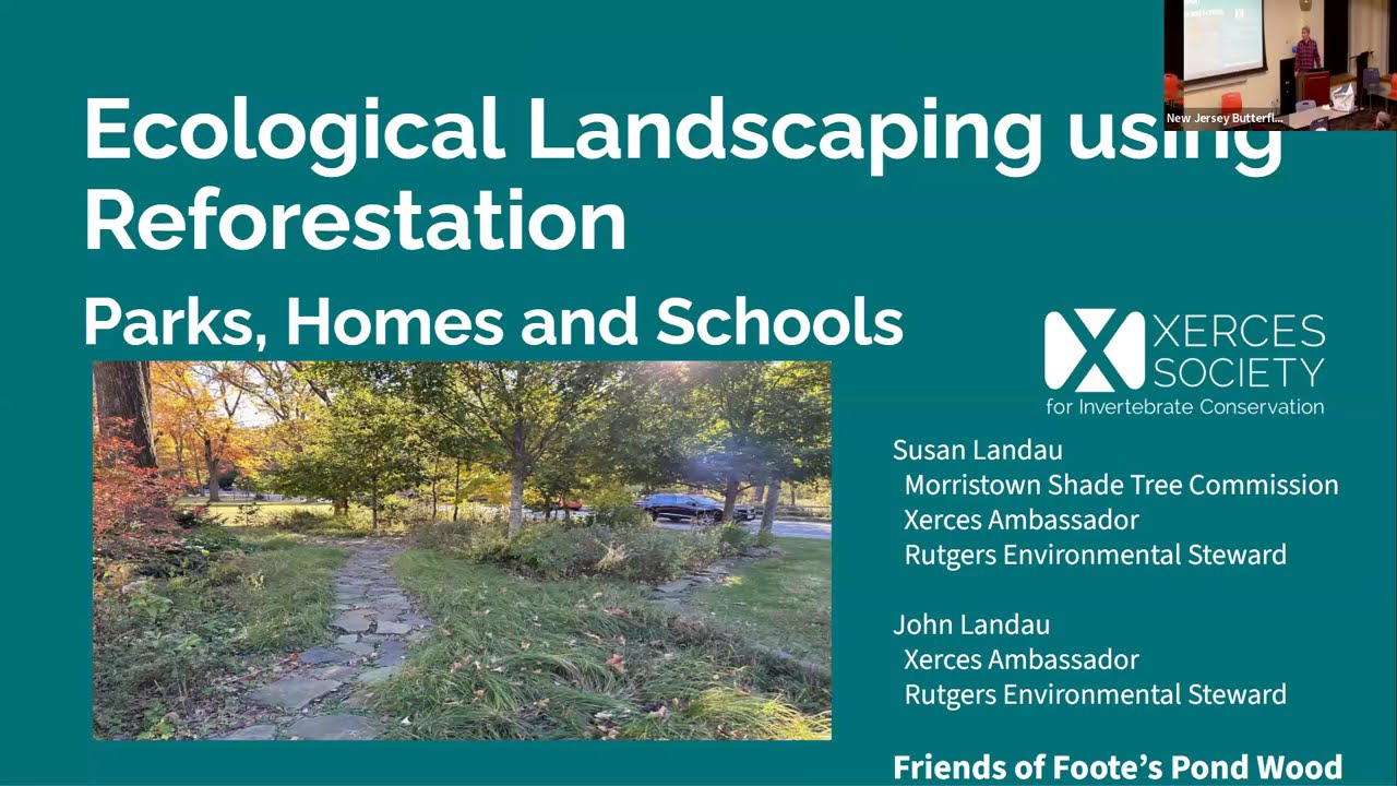 Reforestation for Ecological Restoration: Projects: Parks, Schools & Homes-NJ Butterfly Club Feb '26