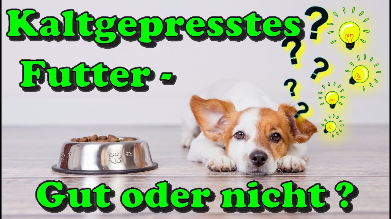 Kaltgepresstes Hundefutter / Katzenfutter - ist es wirklich besser ? 🤔/ Futterberatung/Nature Trails