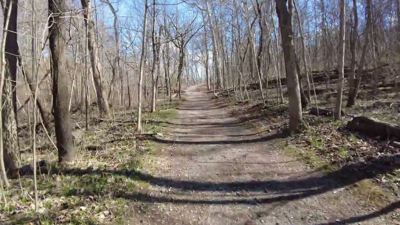Early Spring Hiking through Sharon Woods Gorge Trail | DJI Pocket 3