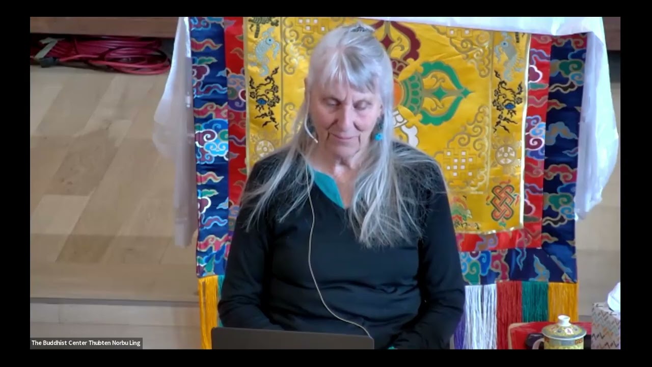 Practical Foundations for Sustainable Practice with Elaine Jackson (Morning Session)