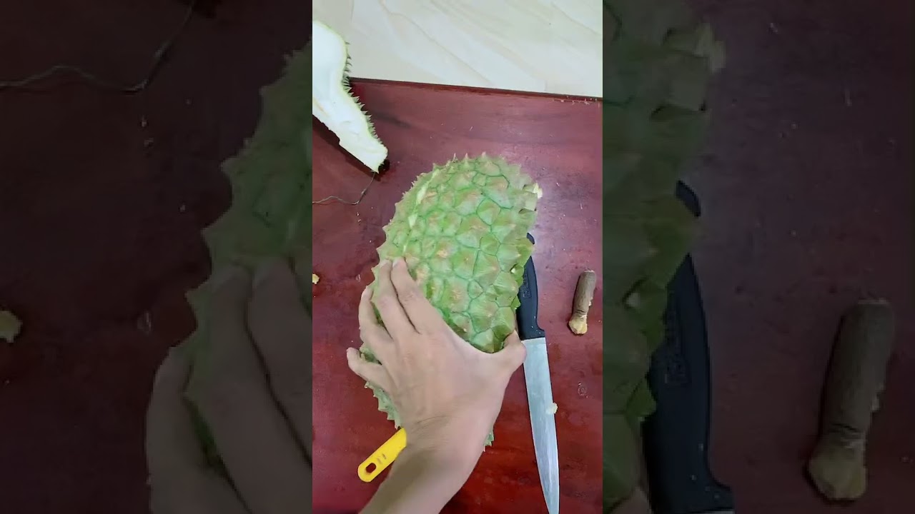 durian monthong fruit with tasty delicious flesh #shorts