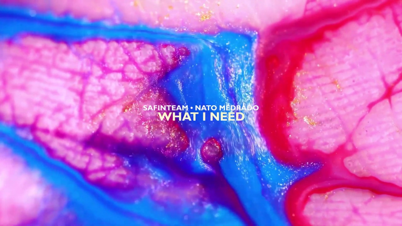 Safinteam, Nato Medrado  - What I Need (Original Mix)