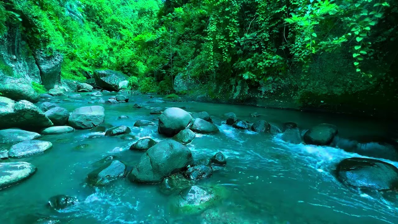 Stream River Sounds Nature Sounds Forest Relaxing Water Sounds Forest River Sounds Relaxing ASMR