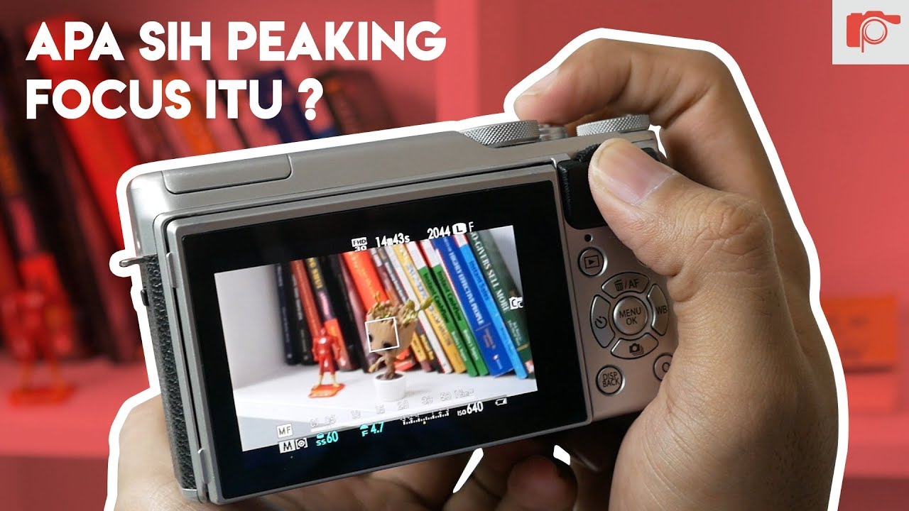 Apa Sih Peaking Focus Itu ??? Pengguna Mirrorless WAJIB TAU !!!