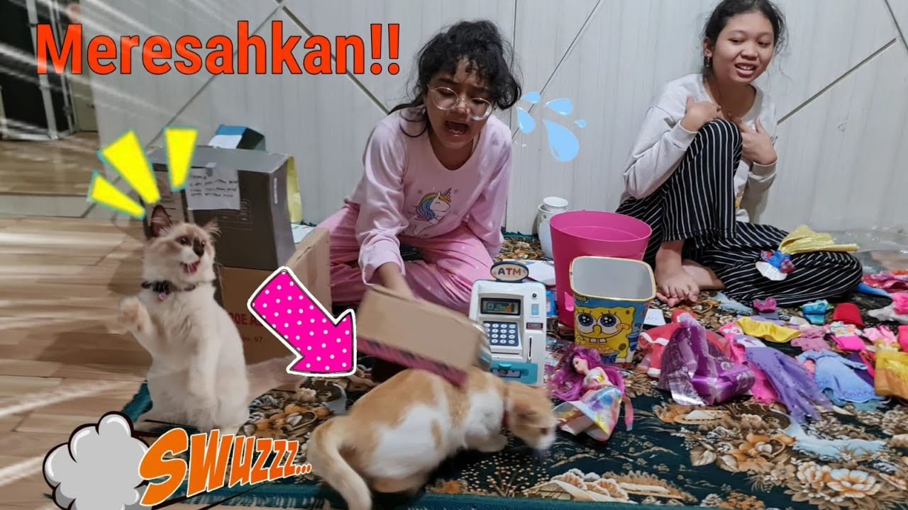 MARKO MERESAHKAN! 😂 KUCING INI GANGGUIN HANUM MAIN KARENA GAK DIAJAK BERMAIN 💞 Hanum Diary