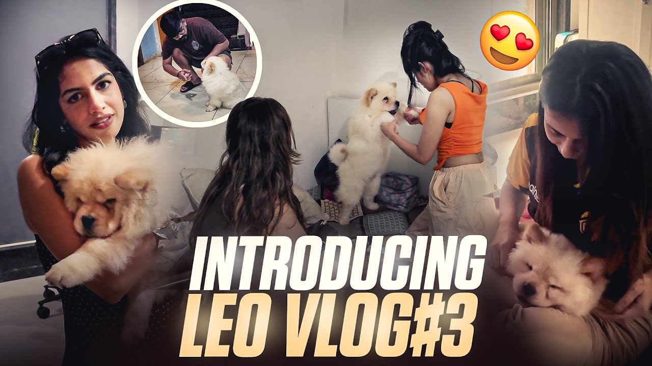 GODLIKE CREATORS REACTING TO MY SON | #roadto50k