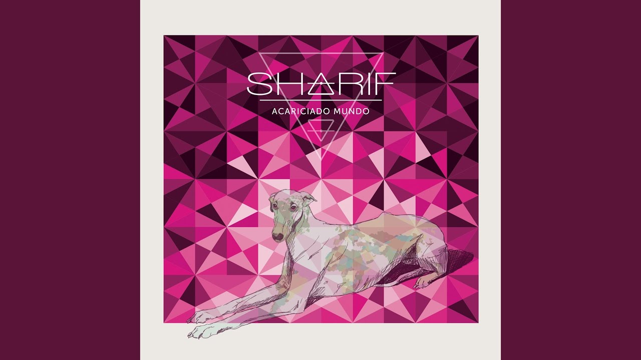 En Todas las Lenguas