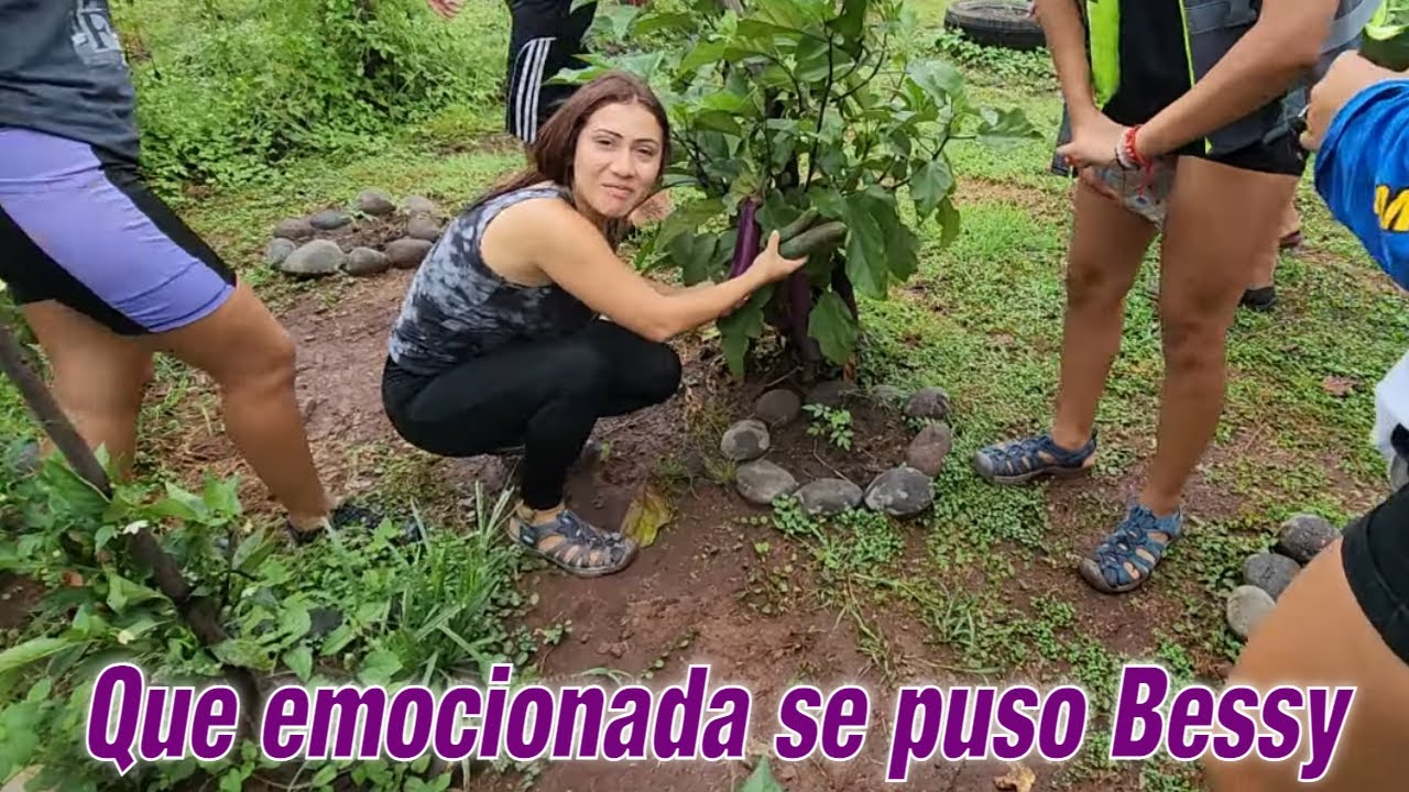 Fuimos a dar el tour por el huerto 4K y Bessy se volvi&oacute; a emocionar al ver esto.