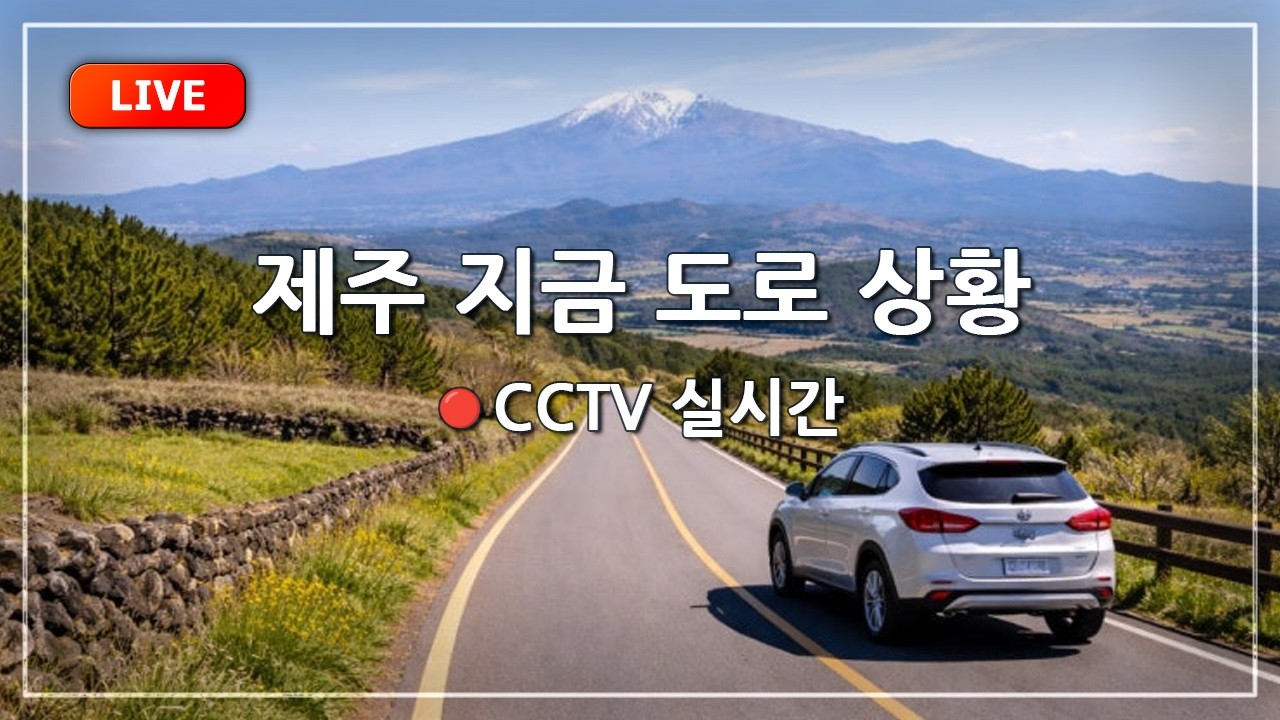 [ 🔴LIVE ] 지금 제주는? | 날씨&교통정보 실시간 라이브