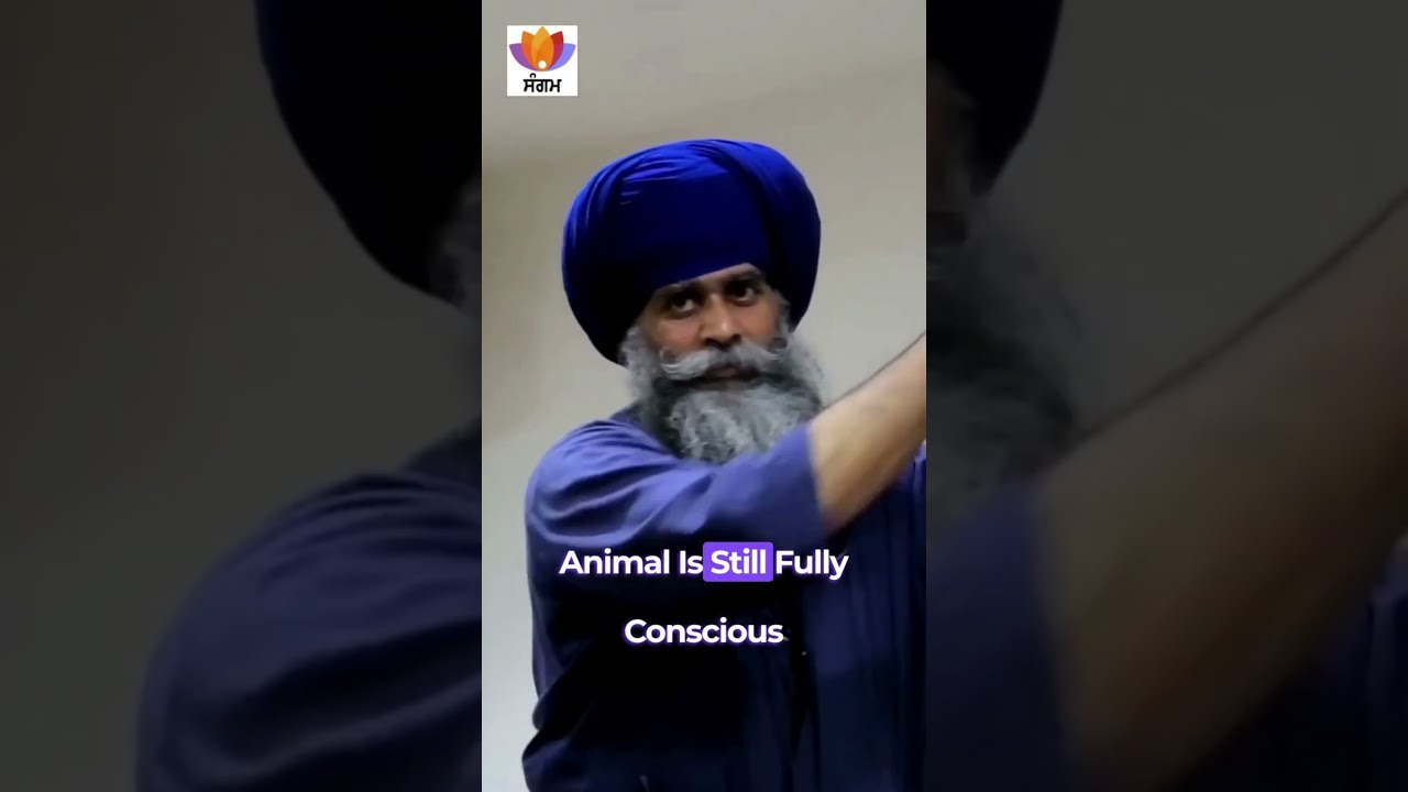 Vegetarian Ho Jao Par Halal Mat Khao | Gurudev Nidar Singh Nihang | Sangam Talks