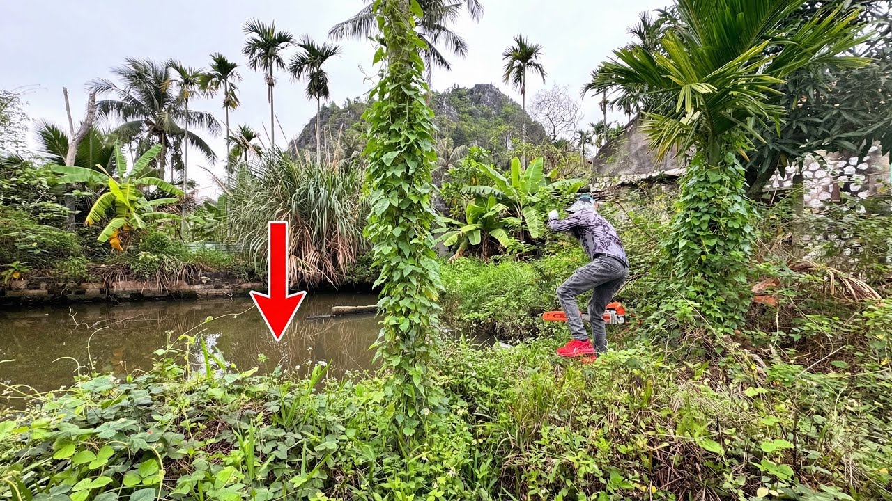 Dirty fish pond overgrown with weeds transformation and cleaning | He was delighted when we arrived
