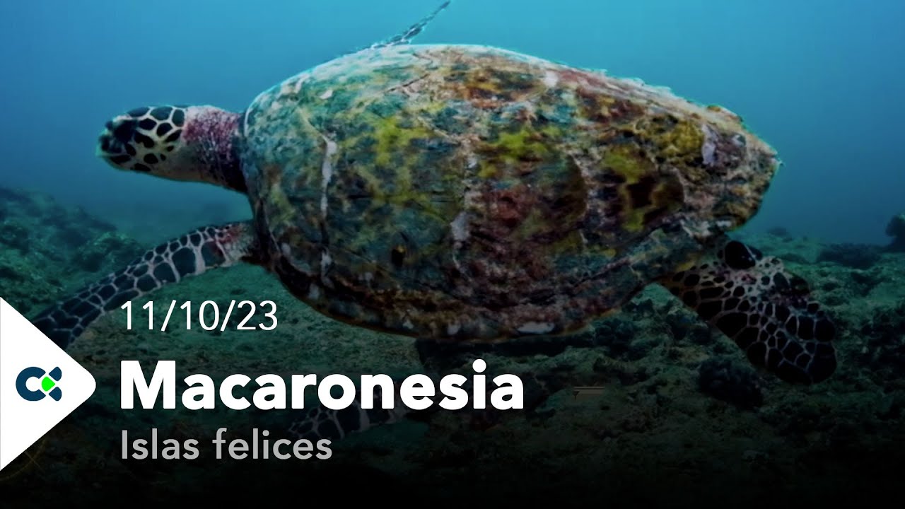 Macaronesia - Islas felices | 11/10/23