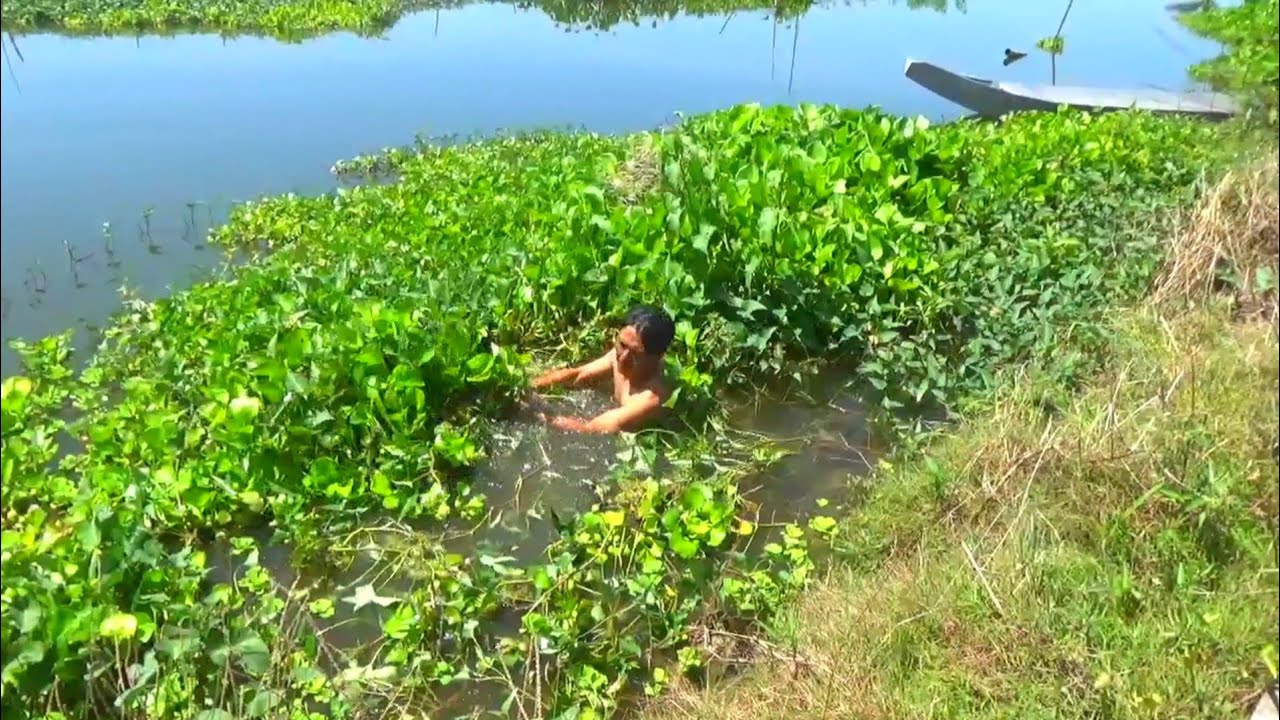 Gak rugi saya mancing bongkar sarang ini,, Mancing sebentar saja panen banyak ikan besar