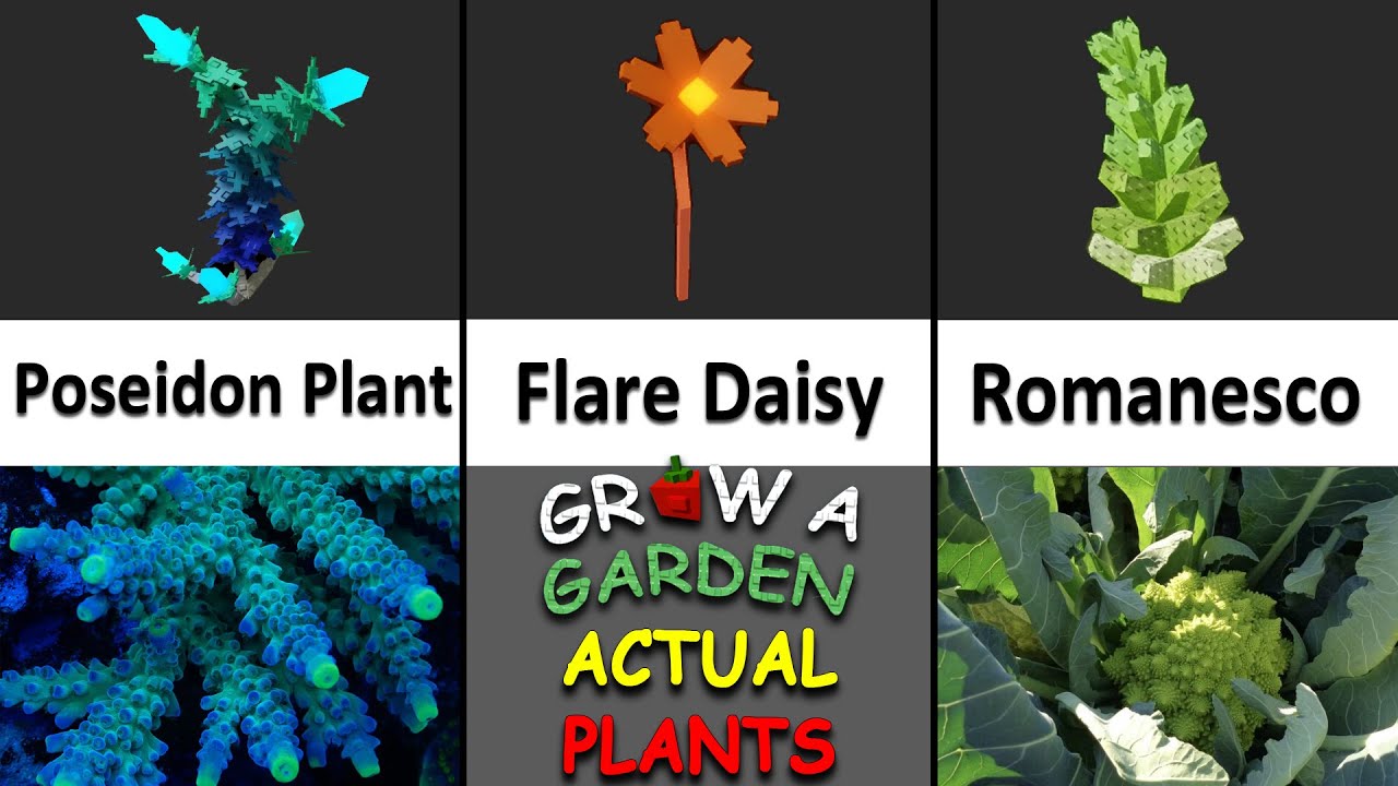 Grow A Garden Roblox ACTUAL Plants VS Real Life | Funny Dylan Play