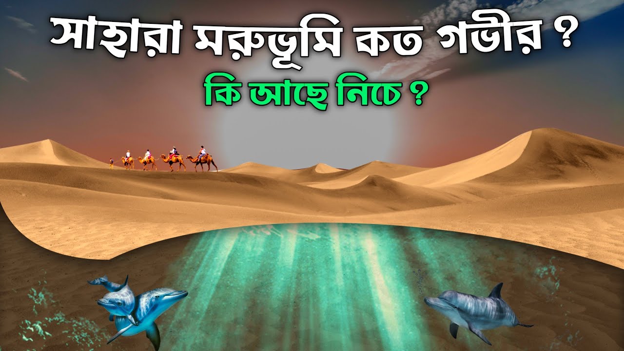 সাহারা মরুভূমির বালির নিচে কি লুকিয়ে আছে, কত গভীর রহস্যময় সাহারা?