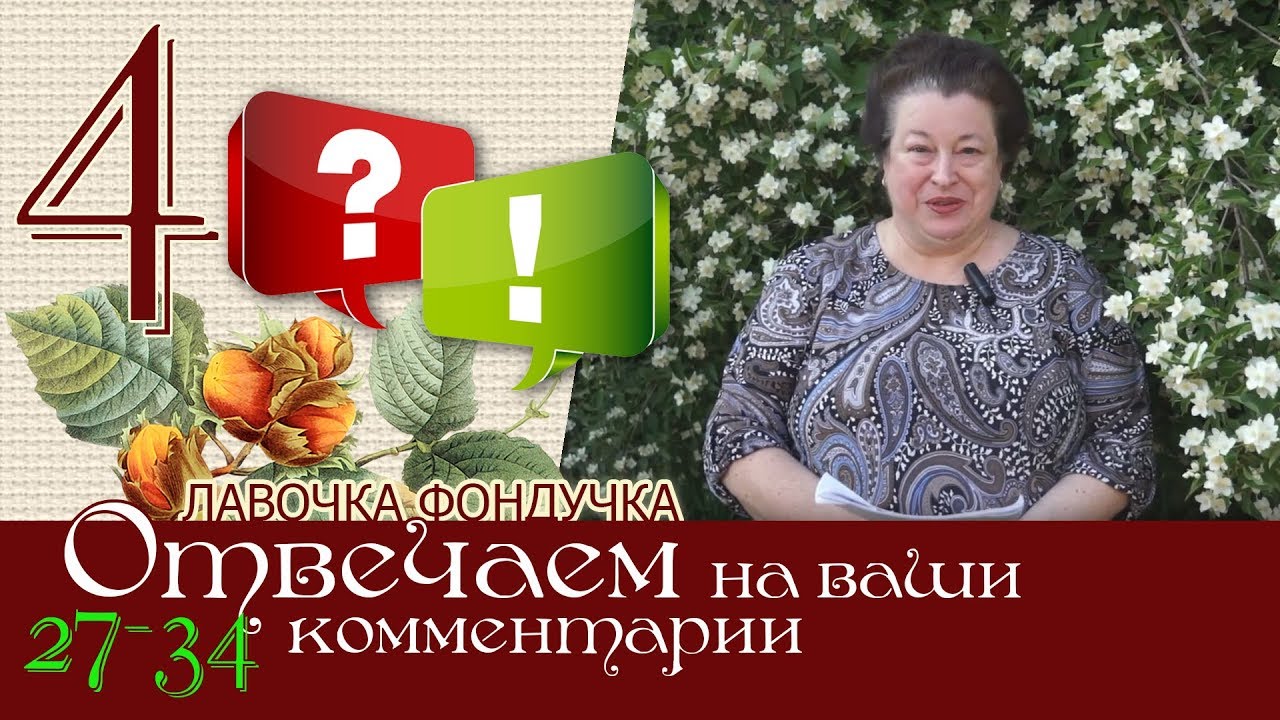 Отвечаем на ваши комментарии 27-34