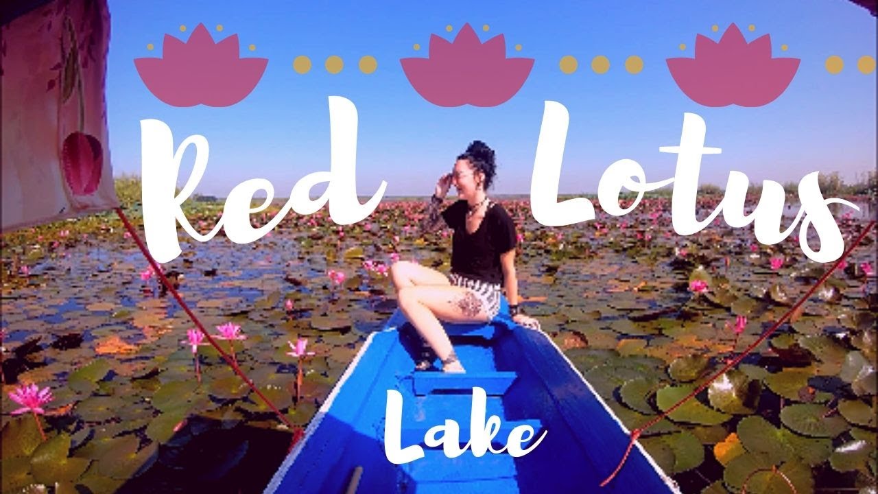 Travel VLOG: Red Lotus Lake in Udon Thani, Thailand!