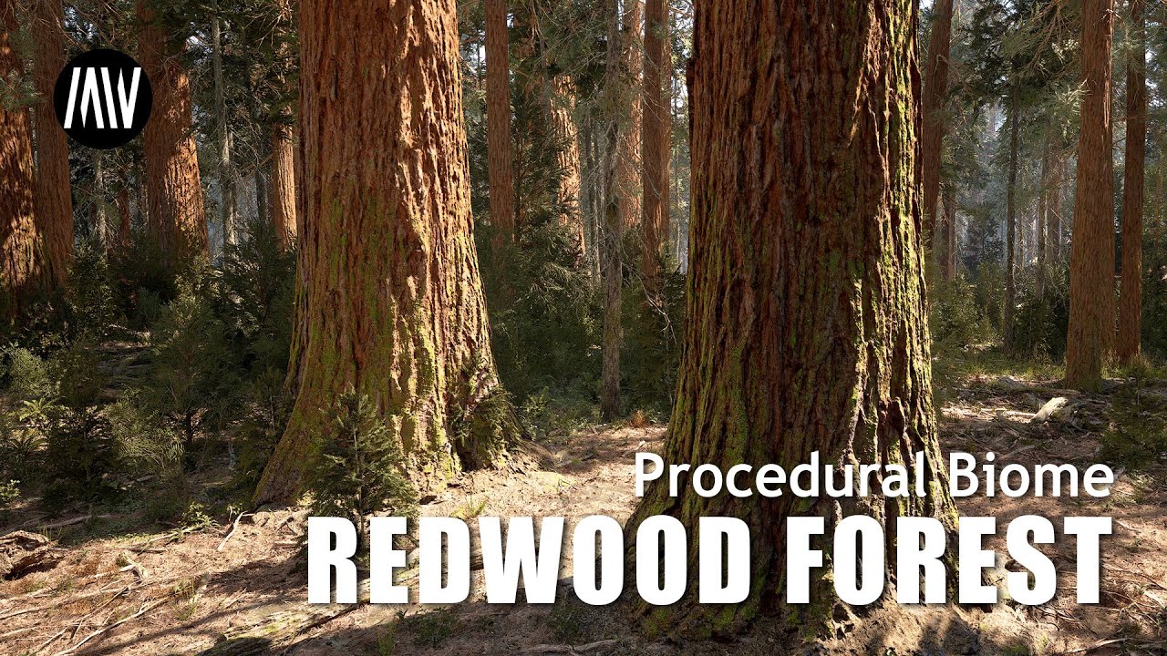 Unreal Engine 5 - Redwood Forest - Ultra realistic AAA environment #unrealengine #UE5 #gamedev
