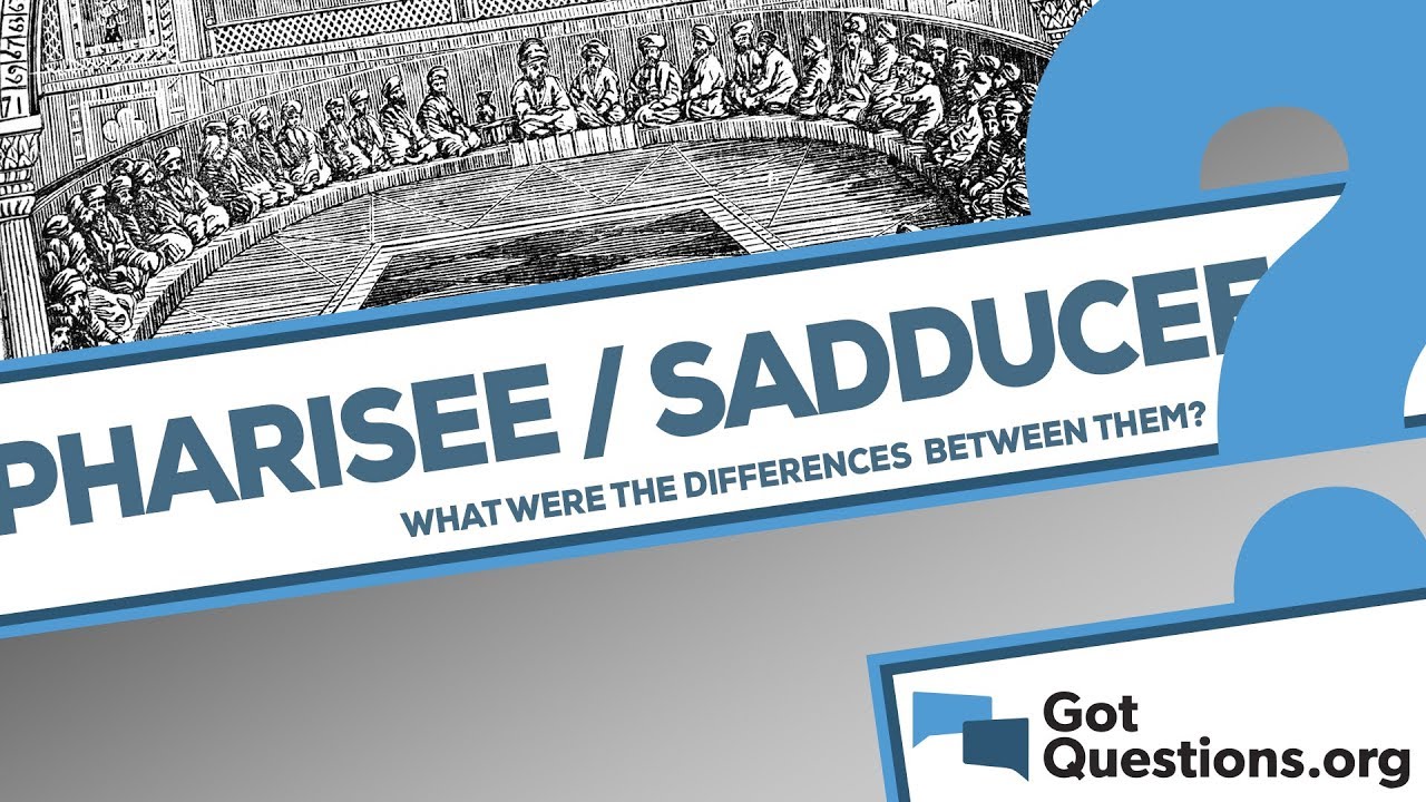 What are the differences between the Sadducees and Pharisees?