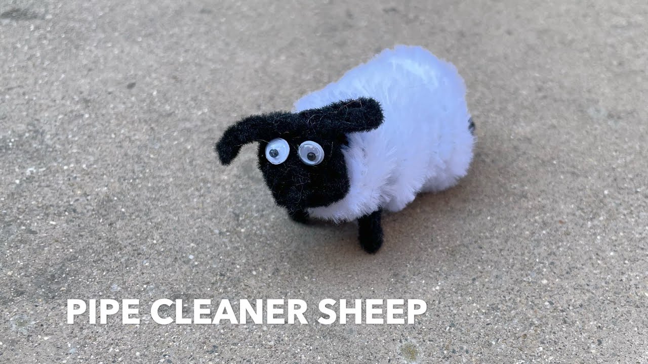 How to Make a Pipe Cleaner Sheep