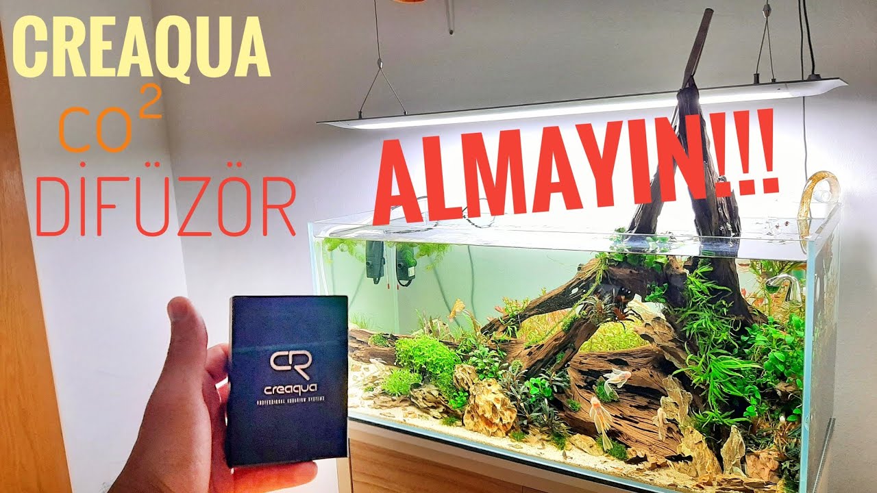 CREAQUA BUBBLEGUN BİTKİLİ AKVARYUM CO2 DİFÜZÖRÜ #akvaryum #aquascape
