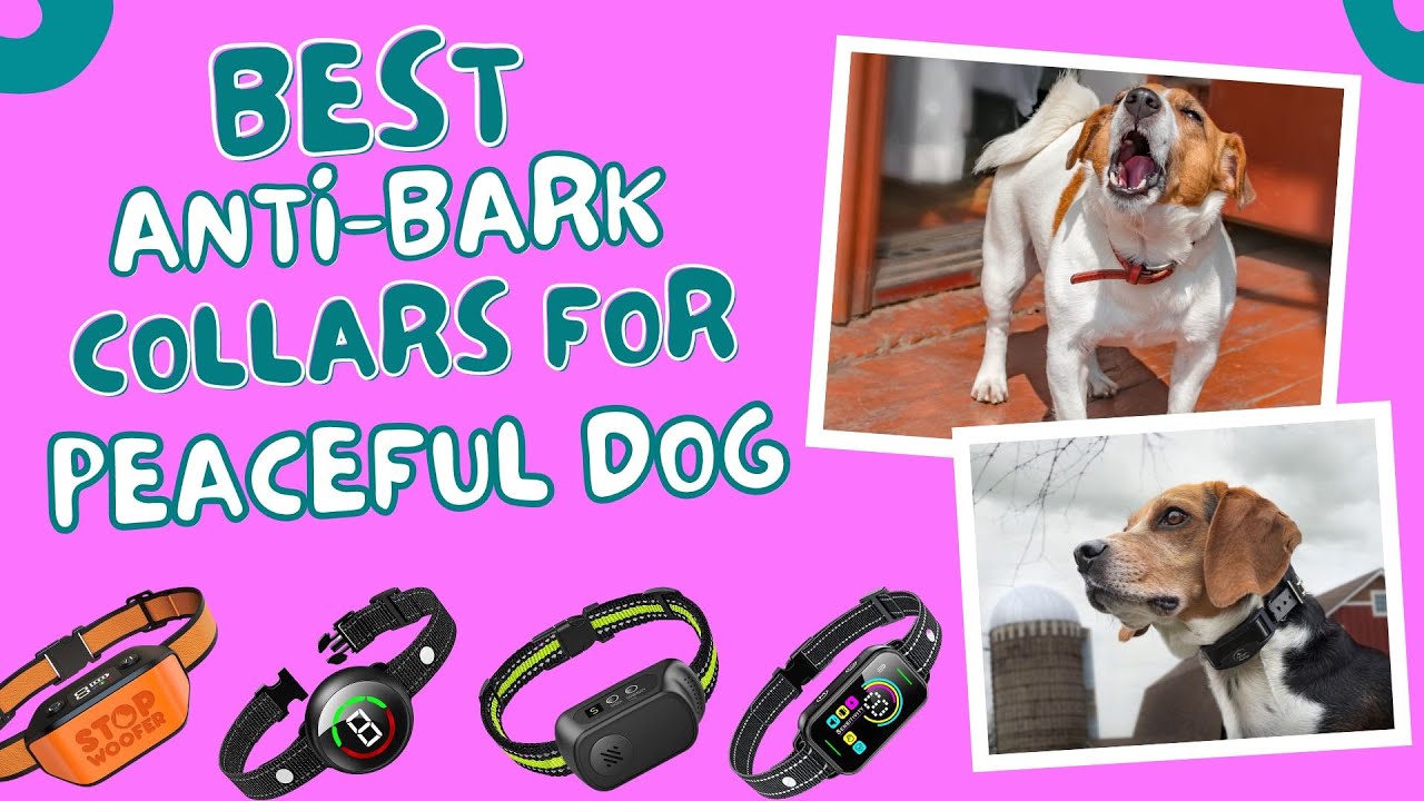Best Anti Bark Collars For Dogs - Gentle Training, Happy Dogs