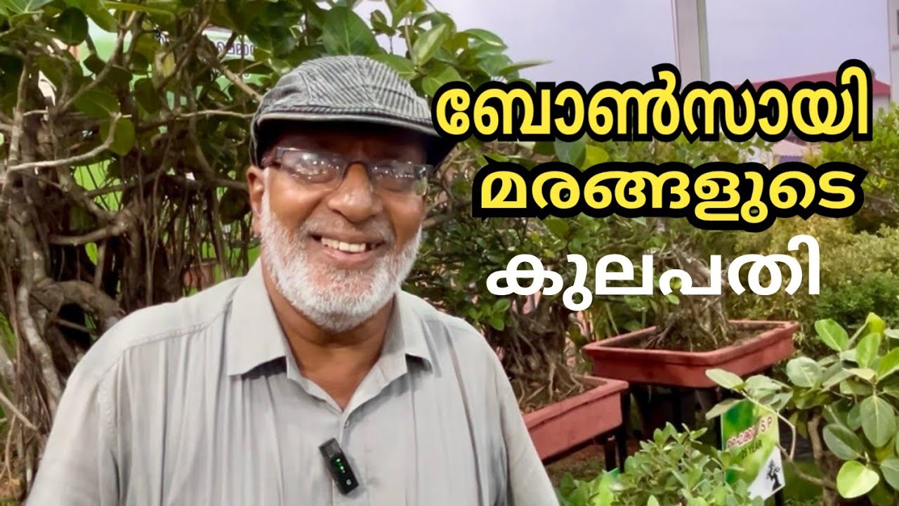 ബോൺസായി മരങ്ങളുടെ കുലപതി || Bonsayi Tree 🎄||#kkviewsbyshyju  #youtuber 