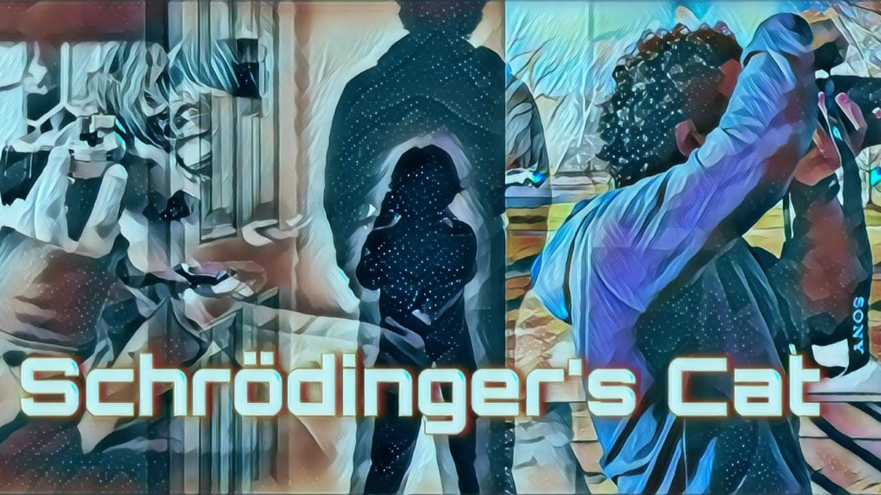 Кот Шрёдингера — путешествие к самому себе