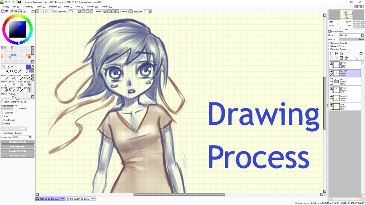 Drawing Process - Quick Sketch [SAI]