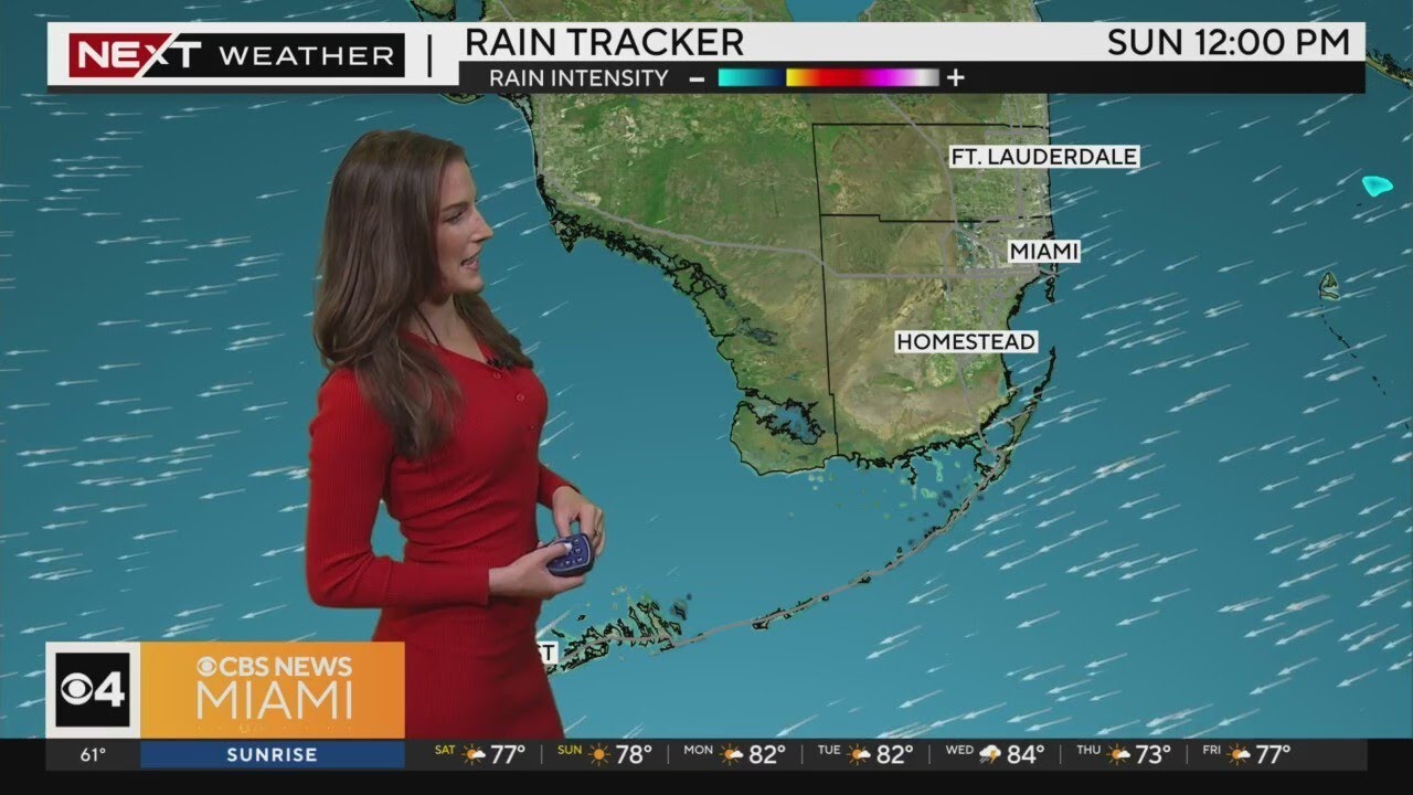 South Florida weather for Saturday 12/7/24 9AM