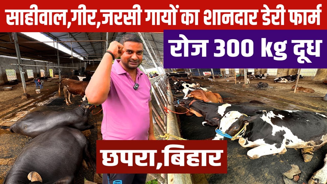 1 गाय से 70 गाय का सफर पूरा कर गए Cow Farming के साथ Integrated Farming भी | Dairy Farming Bussines