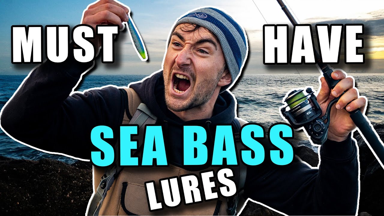 The Best Sea Bass Lures of 2025
