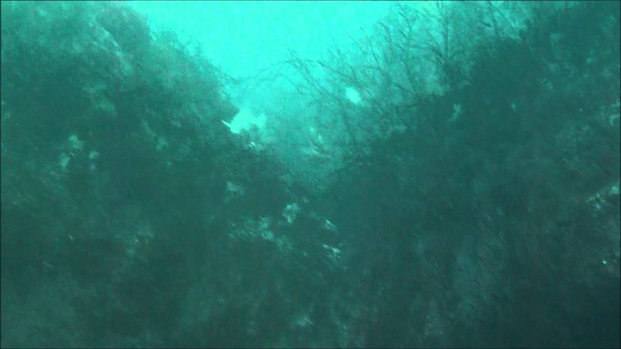 SSAC Scuba diving at Melmore Head, Co Donegal