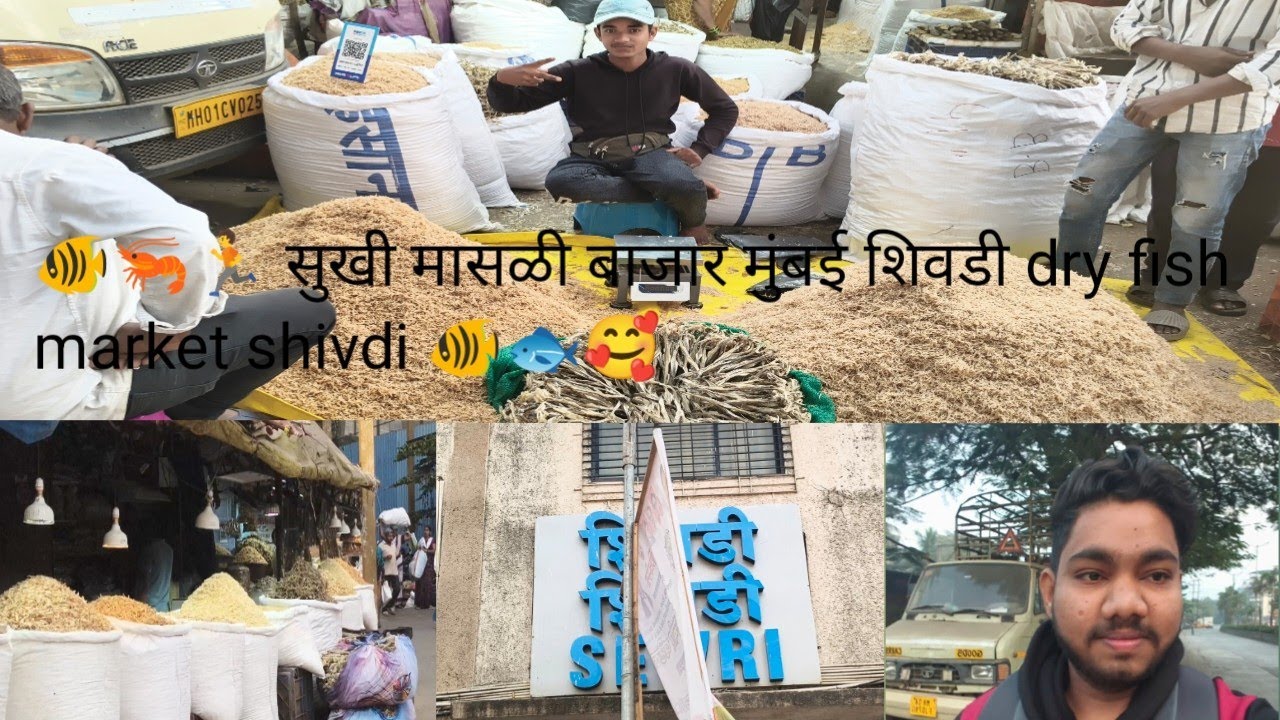 शिवडी सुकी मासळी बाजार मुंबई 😊👌🎉dry fish market shivdi mumbai Biggest market 🥰
