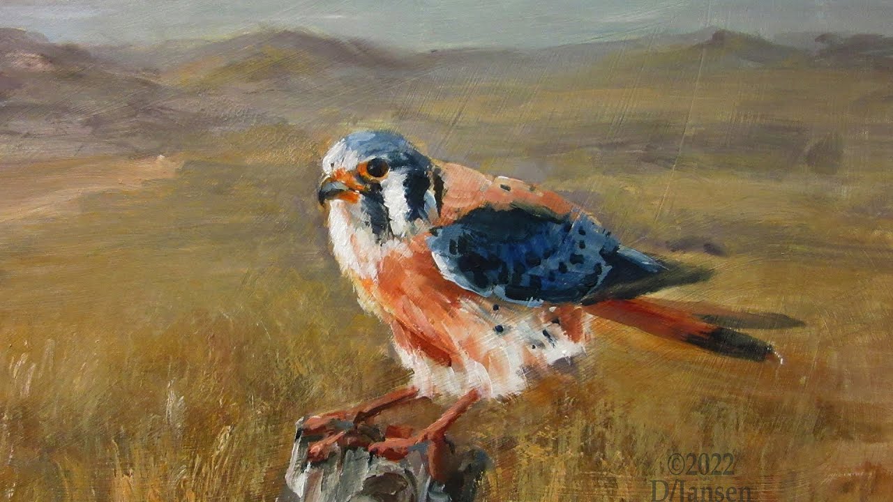 Painting The American Kestrel
