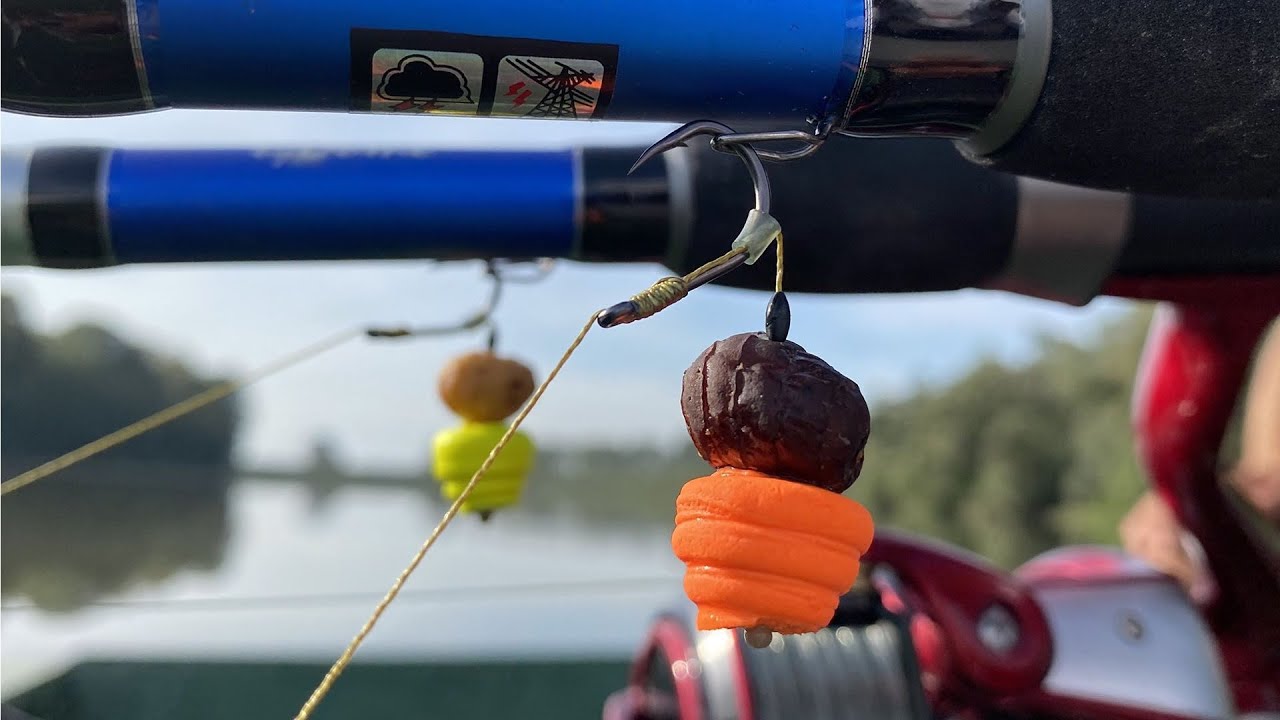 Lov amurov na rieke s feeder šampiónom Döme Gáborom