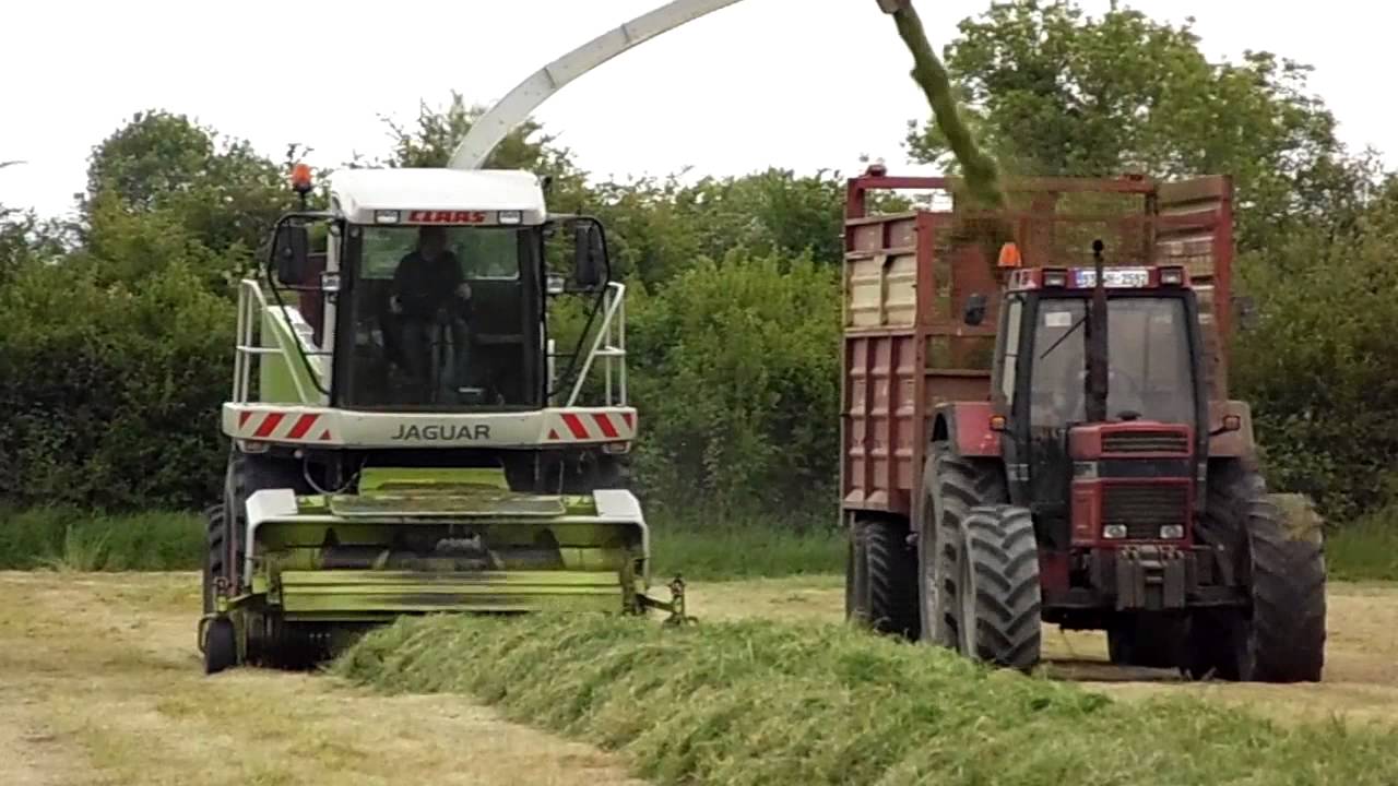 McMahons at silage 2015-Claas Jaguar 890