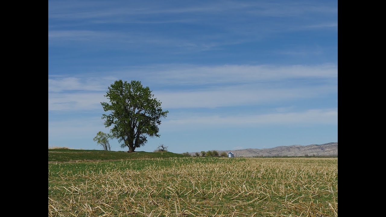 Mike Baker | Soil Management on Wyoming Farms and Ranches