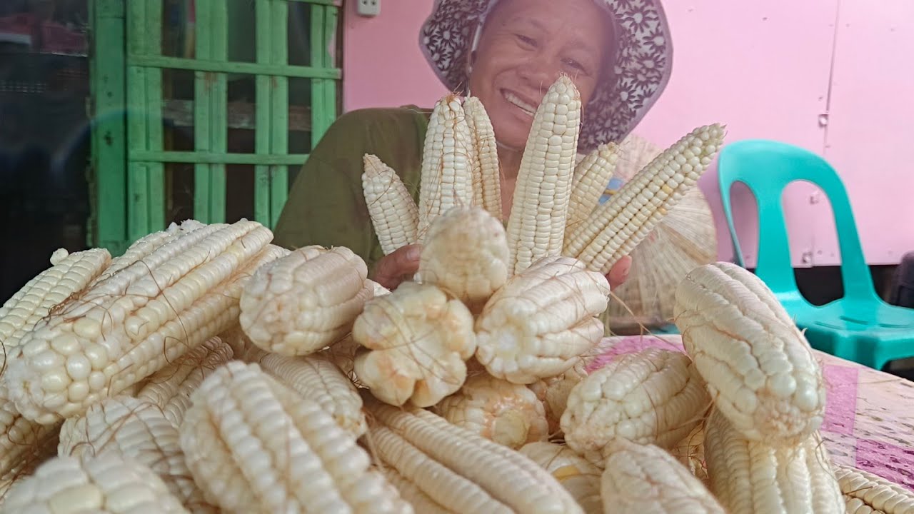 Sa hirap at tiyaga nakalaga din ng mais