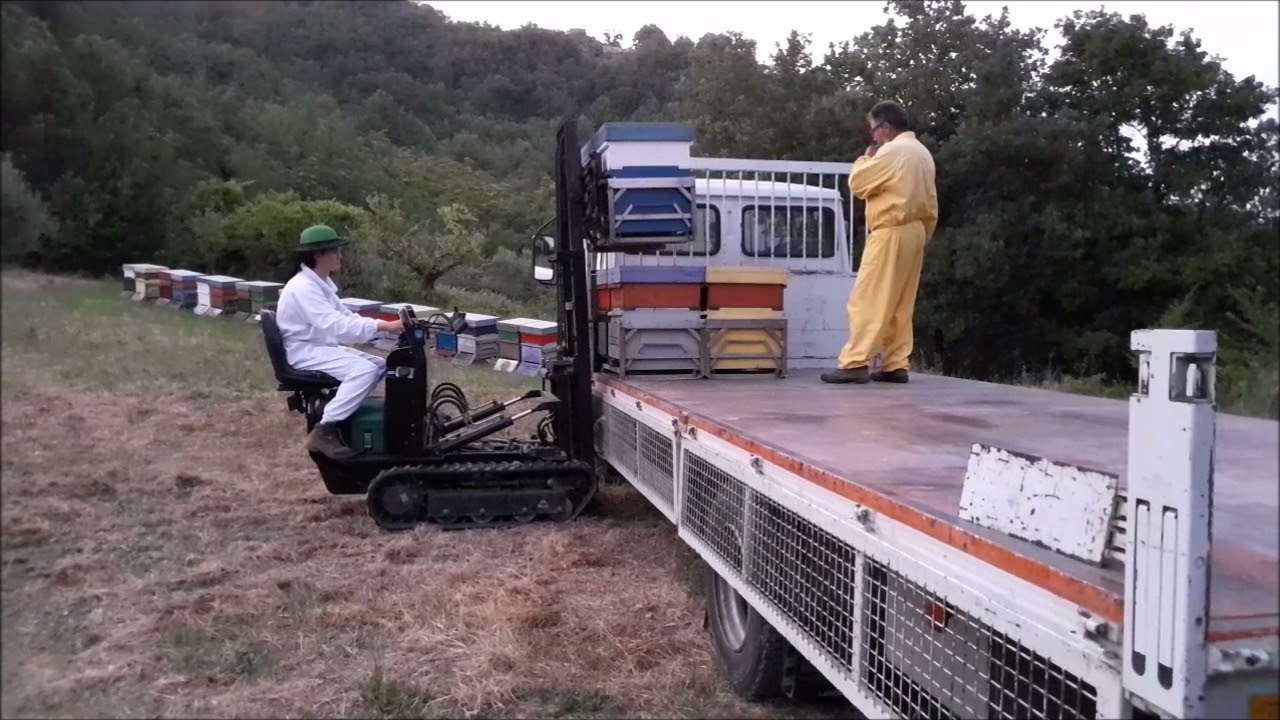 Apicoltura: trasferimento apiario