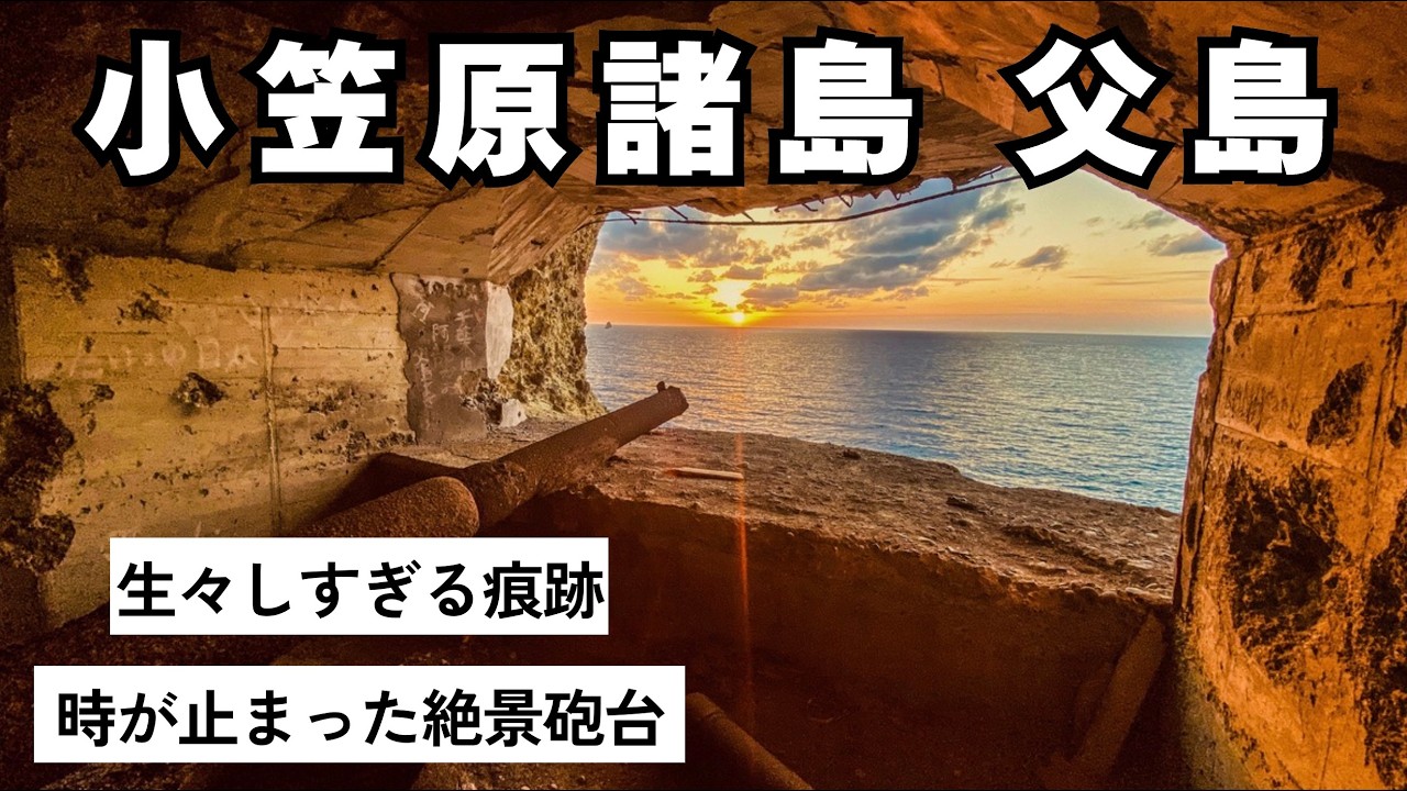【父島ひとり旅】ガイド無しでは行けない、森に眠る戦跡が凄すぎた。