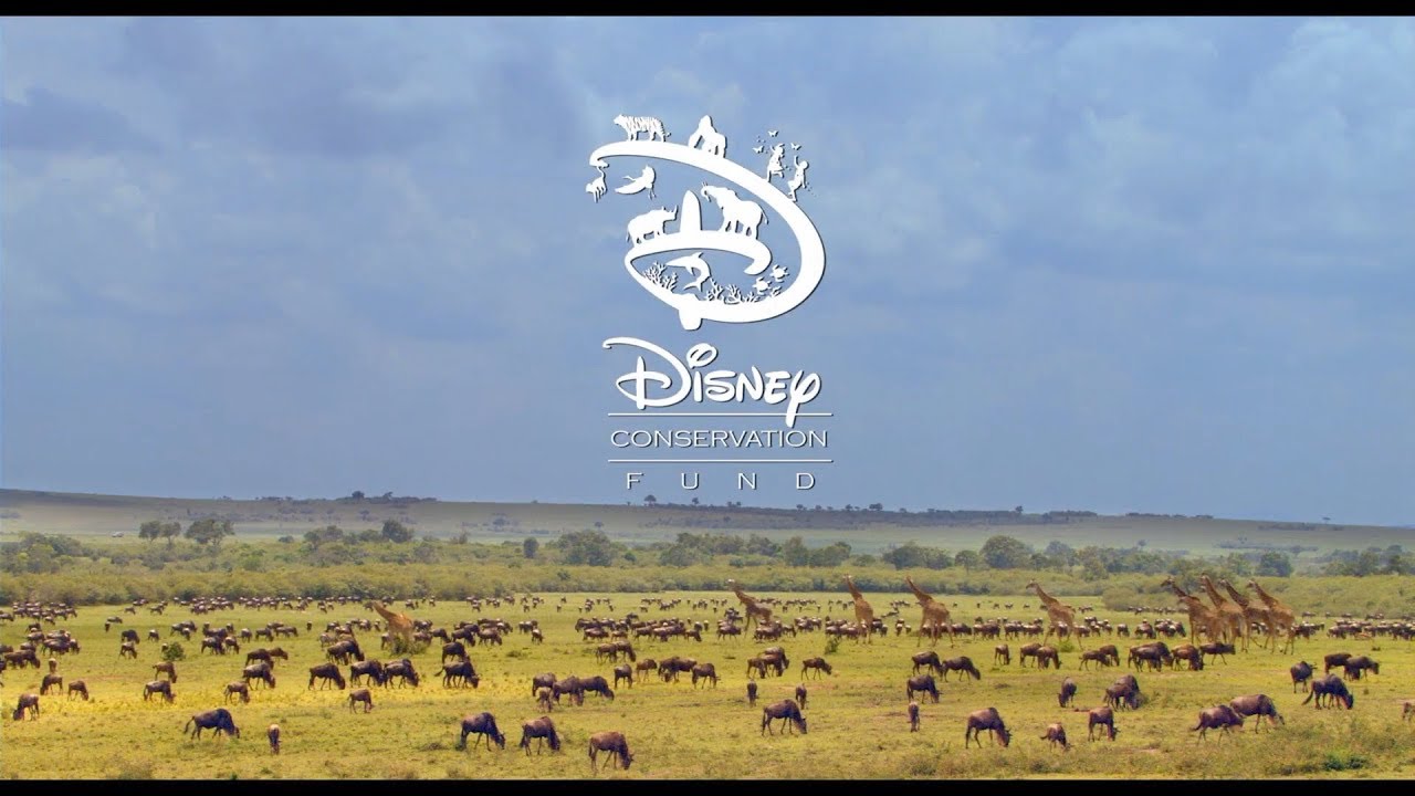 Disney Celebrates Conservation (2018)